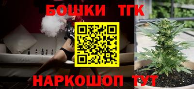 трава Сланцы