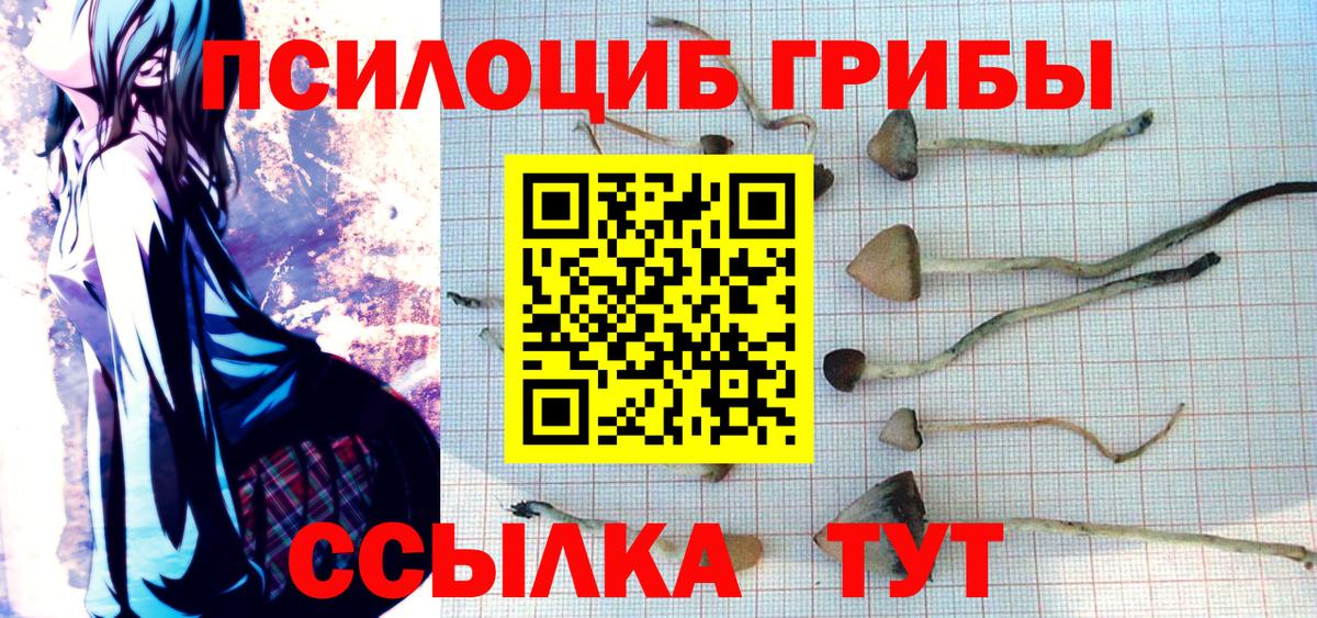 Псилоцибиновые грибы мицелий Новочебоксарск
